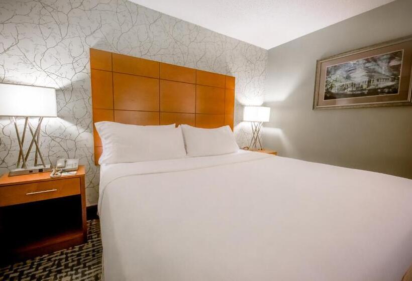 غرفة قياسية سرير كينج, Holiday Inn Raleigh Downtown