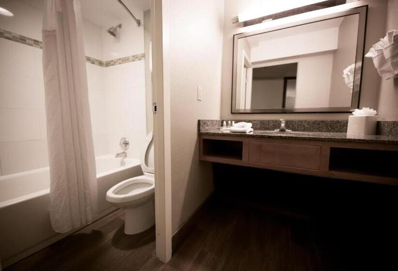 Standard Room Adapted for people with reduced mobility, Holiday Inn Raleigh Downtown