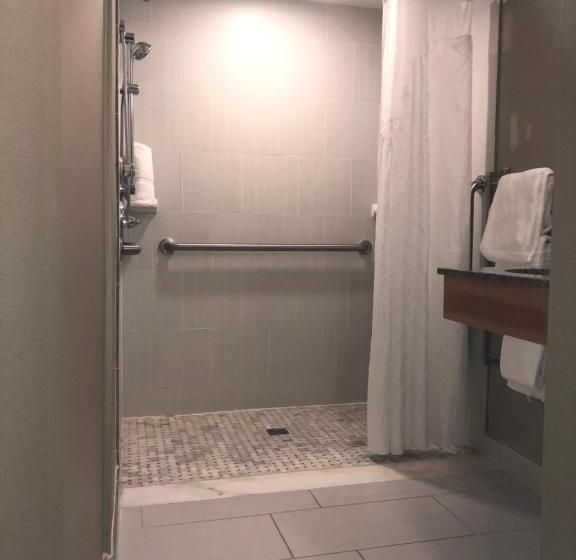 Standard Room Adapted for people with reduced mobility, Holiday Inn Raleigh Downtown