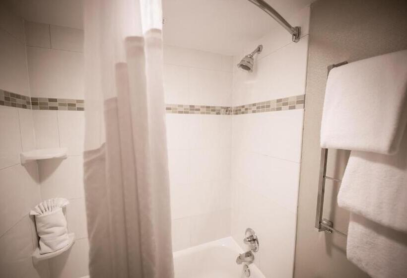اتاق استاندارد, Holiday Inn Raleigh Downtown, An Ihg