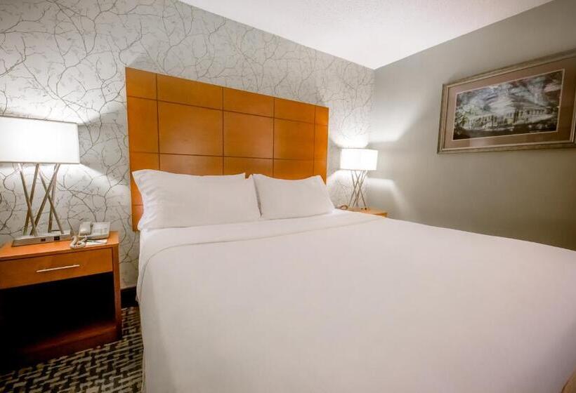 سوئیت با تخت بزرگ, Holiday Inn Raleigh Downtown, An Ihg