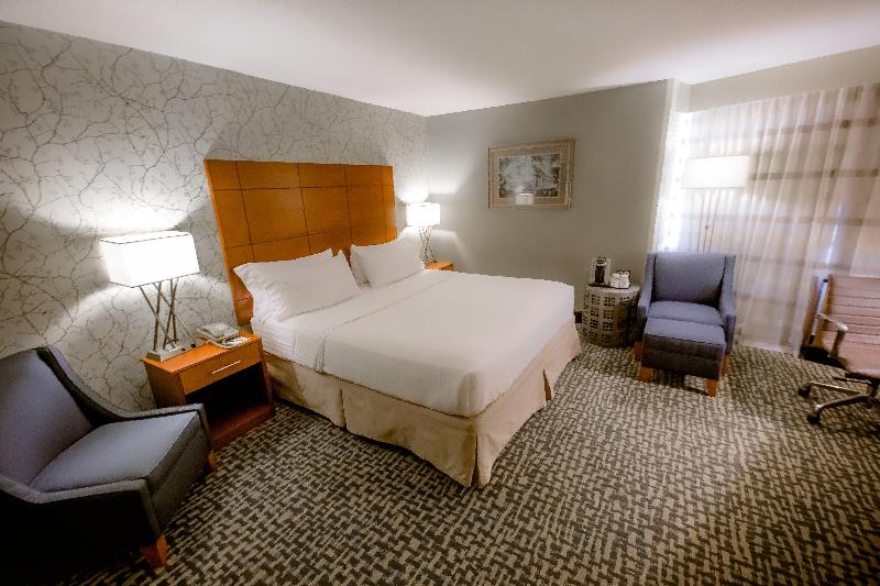 اتاق استاندارد با تخت بزرگ, Holiday Inn Raleigh Downtown