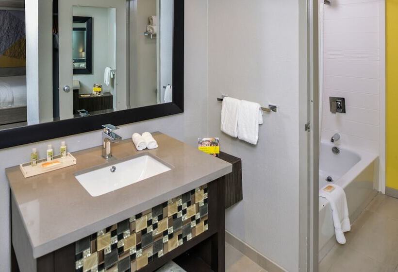 اتاق استاندارد, Holiday Inn Dallas Richardson, An Ihg
