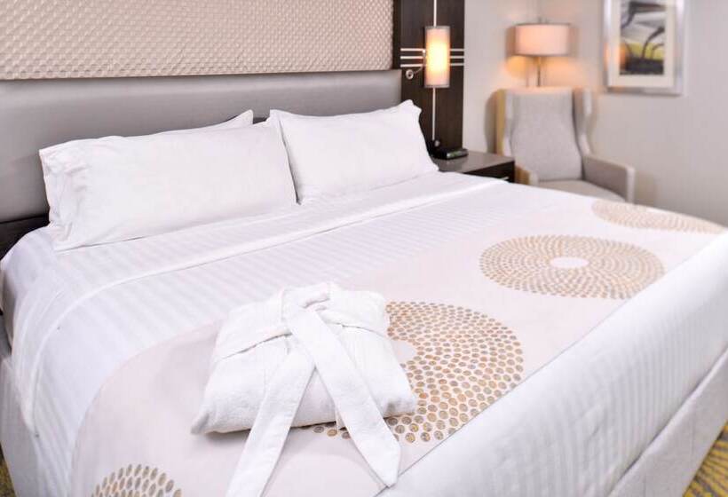 اتاق استاندارد, Holiday Inn Dallas Richardson, An Ihg