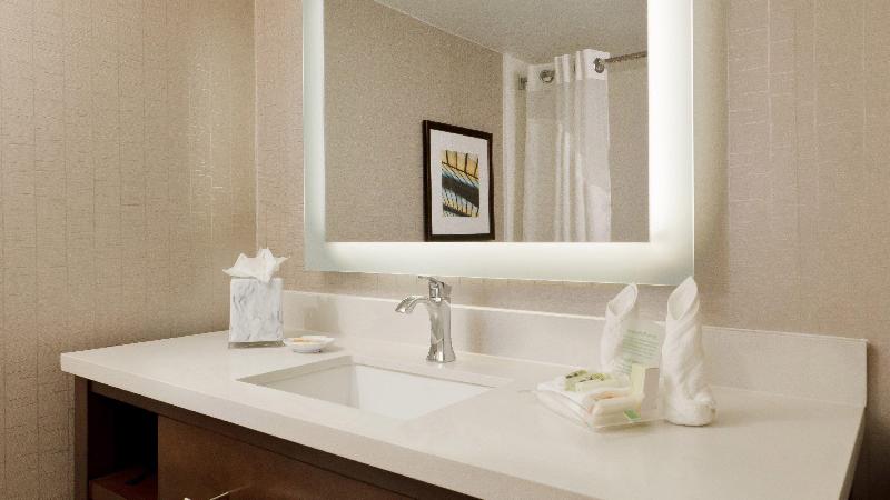 سوئیت اجرایی با تخت کینگ, Holiday Inn San Antonio Riverwalk, An Ihg