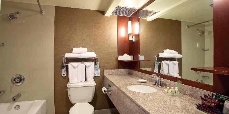 اتاق استاندارد با تخت بزرگ, Holiday Inn Los Angeles Gateway Torrance, An Ihg