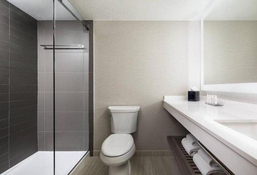 اتاق استاندارد با تخت بزرگ, Houston Marriott South At Hobby Airport