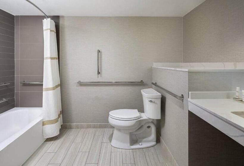 سوئیت با تخت بزرگ, Houston Marriott South At Hobby Airport