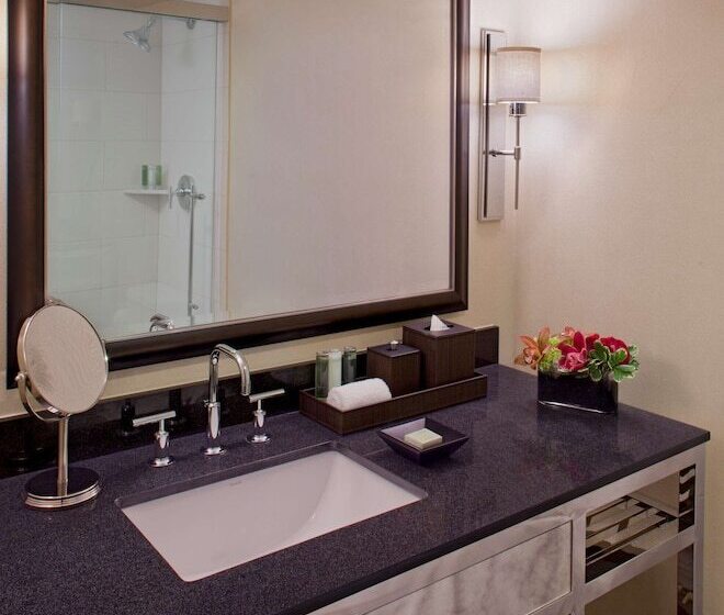 Superior Suite, Hyatt Regency New Orleans