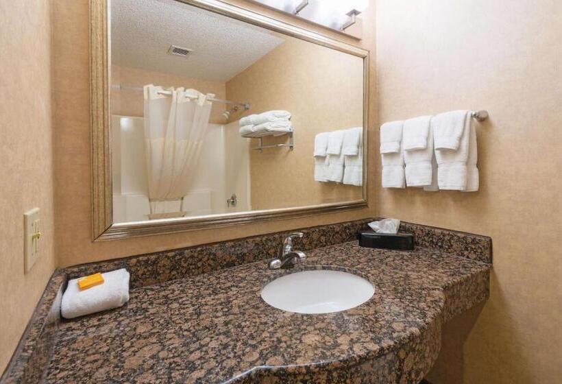 اتاق استاندارد با تخت بزرگ, La Quinta Inn By Wyndham Buffalo Airport