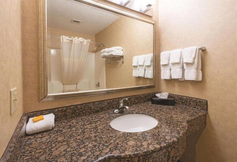 اتاق استاندارد با تخت بزرگ, La Quinta Inn By Wyndham Buffalo Airport