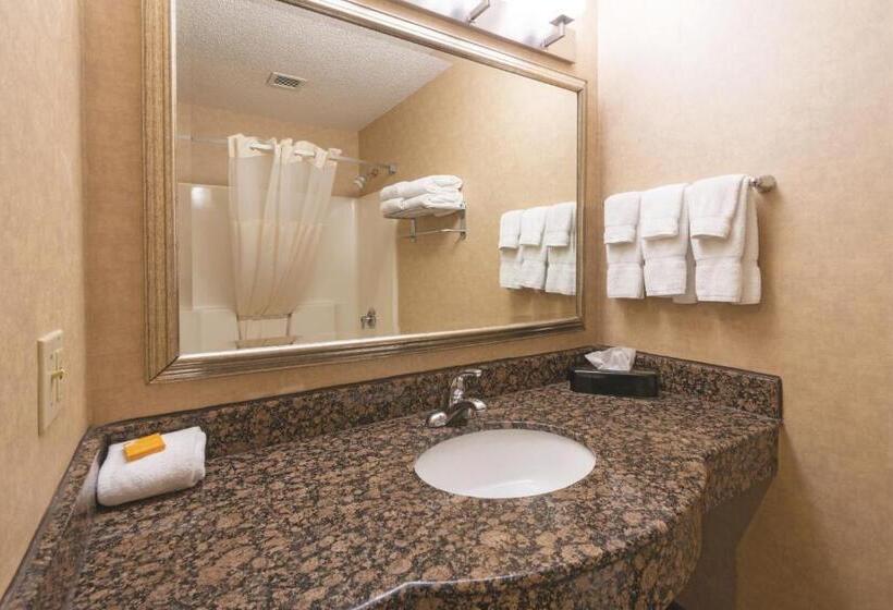 اتاق استاندارد با تخت بزرگ, La Quinta Inn By Wyndham Buffalo Airport