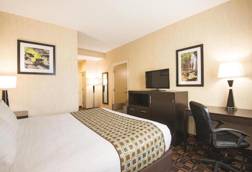 اتاق استاندارد با تخت بزرگ, La Quinta Inn By Wyndham Buffalo Airport