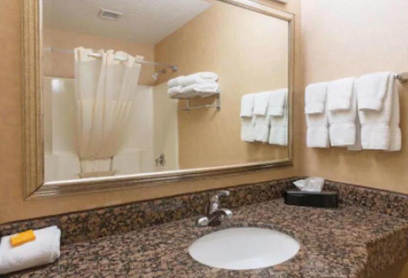اتاق استاندارد, La Quinta Inn By Wyndham Buffalo Airport