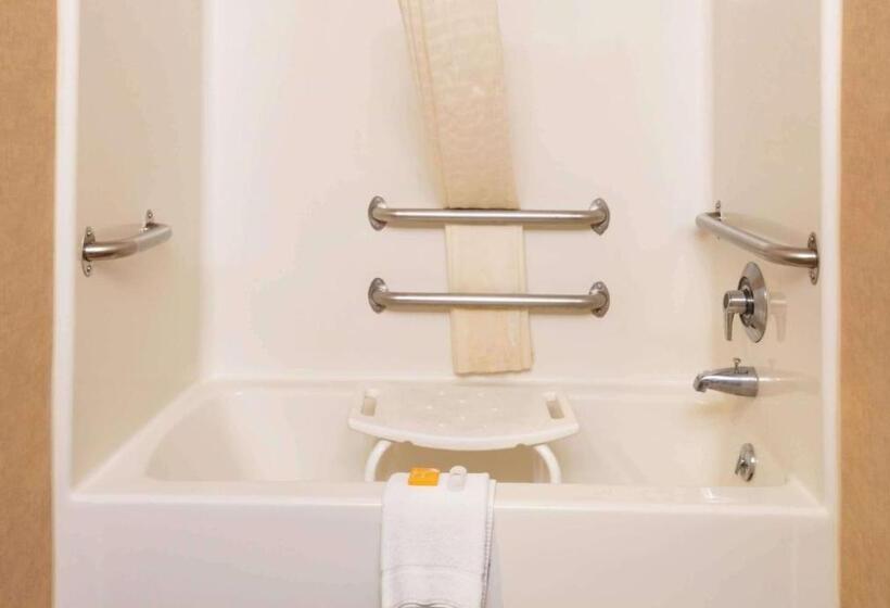 اتاق استاندارد با تخت بزرگ برای معلولان, La Quinta Inn By Wyndham Buffalo Airport