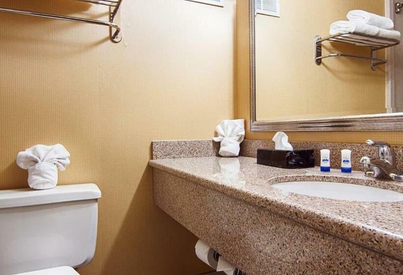 اتاق استاندارد با تخت بزرگ, Quality Inn & Suites East Syracuse  Carrier Circle