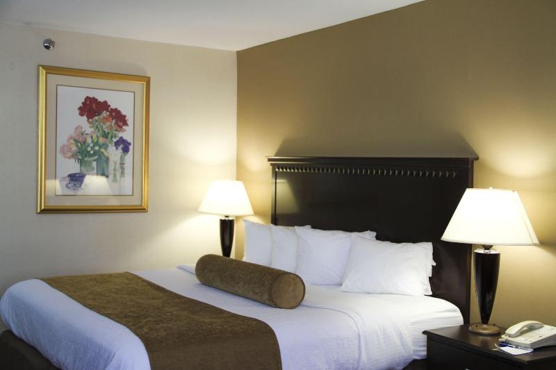اتاق استاندارد با تخت بزرگ برای معلولان, Quality Inn & Suites East Syracuse  Carrier Circle