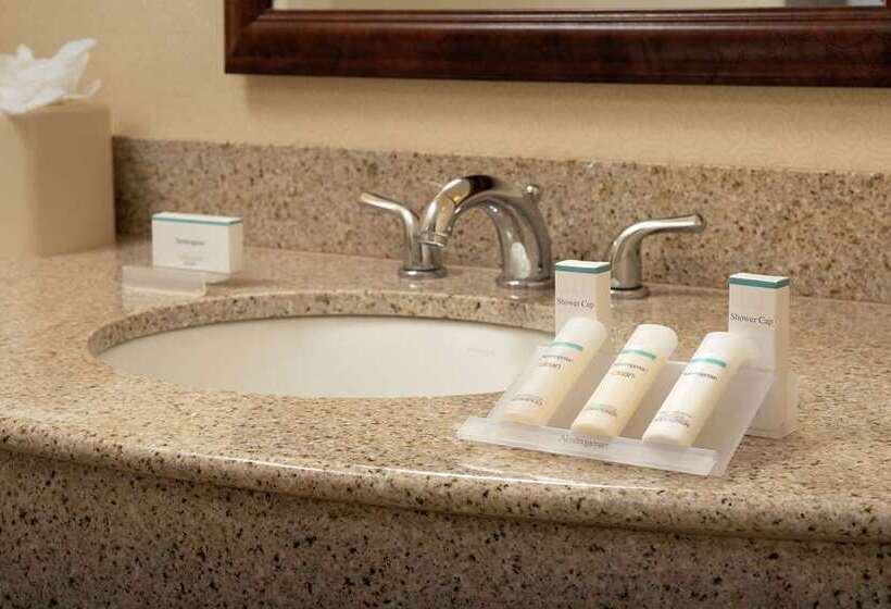 اتاق استاندارد, Saranac Curio Collection By Hilton