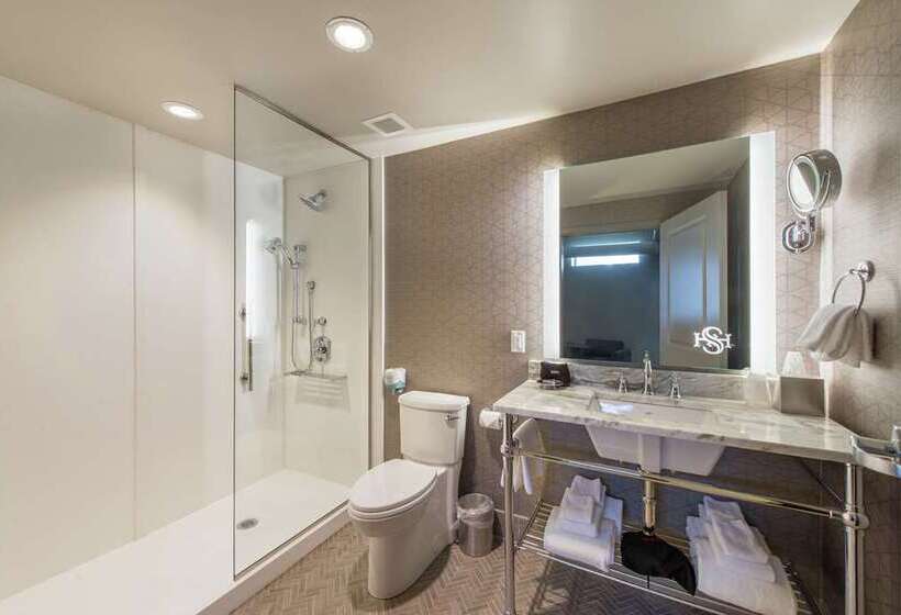 استودیو استاندارد با تخت کینگ, Saranac Curio Collection By Hilton