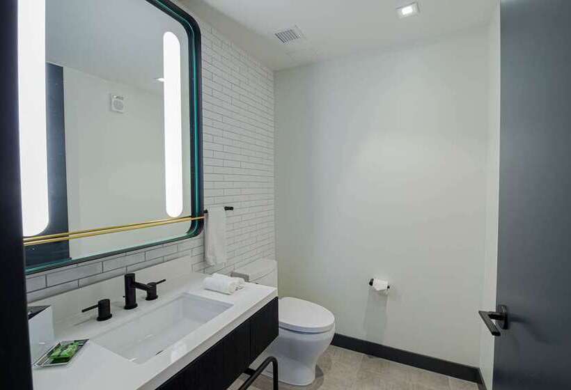 استودیو استاندارد با تخت کینگ, Saranac Curio Collection By Hilton