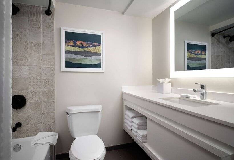 اتاق لوکس, Sonesta Irvine John Wayne Airport
