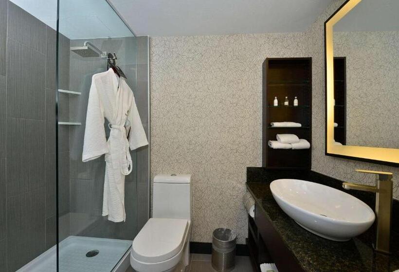 اتاق استاندارد برای معلولان, Voco Laguna Hills