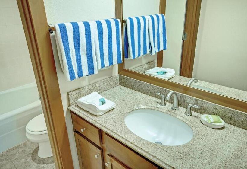 استودیوی استاندارد, Seventh Mountain Resort