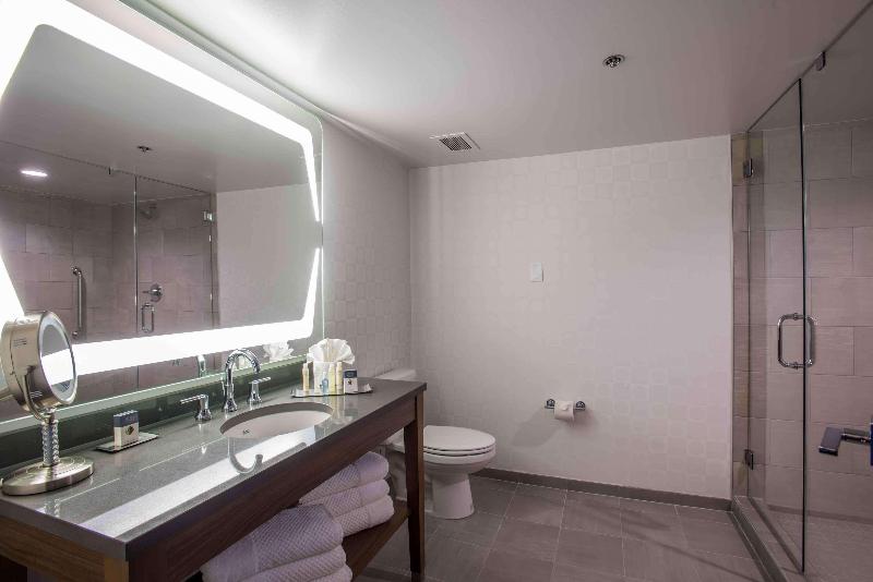 اتاق لوکس با تخت بزرگ, Wyndham Fort Smith City Center