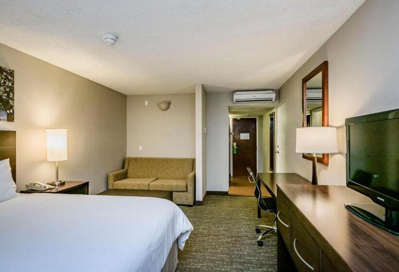 اتاق استاندارد با تخت بزرگ, Wyndham Garden Fresno Yosemite Airport