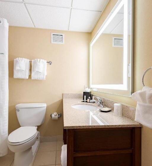 اتاق استاندارد با تخت بزرگ, Wyndham Omaha Hotel   West Dodge