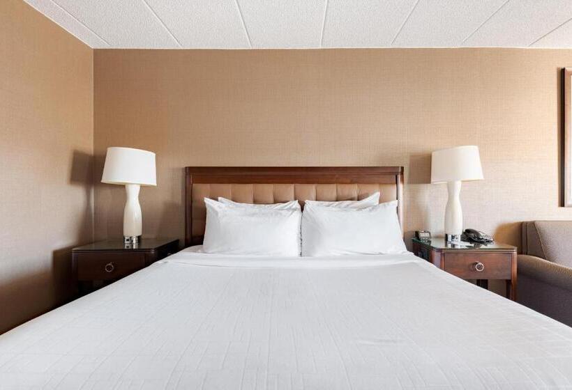 اتاق استاندارد با تخت بزرگ, Wyndham Omaha Hotel   West Dodge