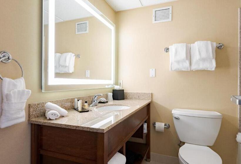 اتاق استاندارد با تخت بزرگ, Wyndham Omaha Hotel   West Dodge