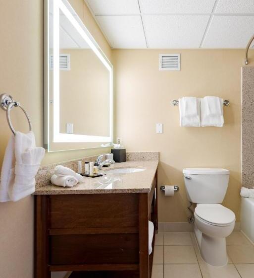 اتاق استاندارد با تخت بزرگ, Wyndham Omaha Hotel   West Dodge