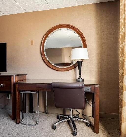 اتاق استاندارد با تخت بزرگ, Wyndham Omaha Hotel   West Dodge