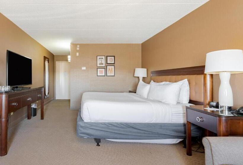 اتاق استاندارد با تخت بزرگ برای معلولان, Wyndham Omaha Hotel   West Dodge