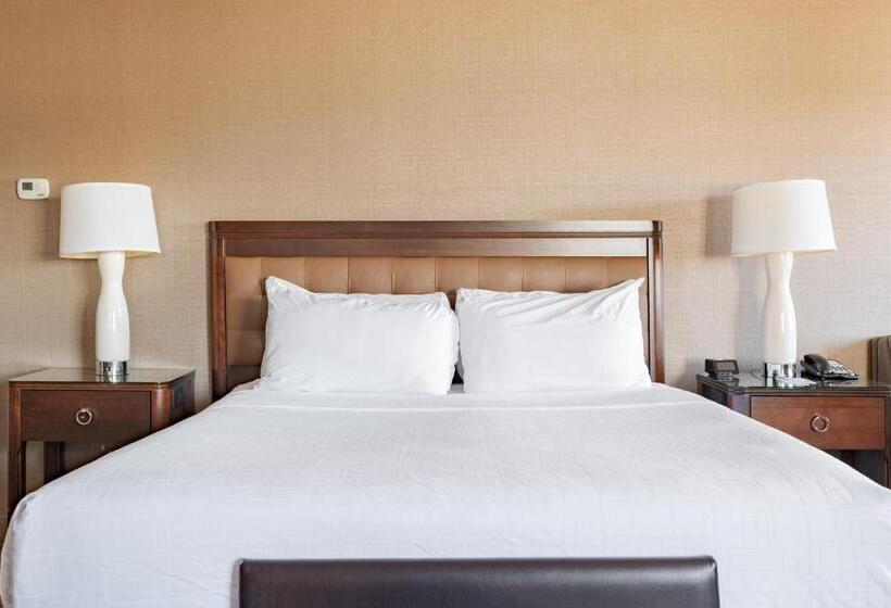اتاق استاندارد با تخت بزرگ برای معلولان, Wyndham Omaha Hotel   West Dodge
