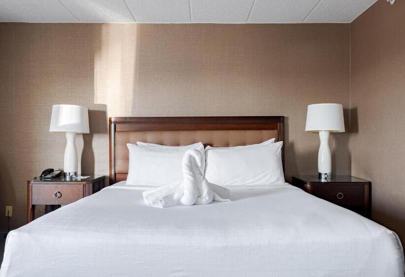 اتاق استاندارد با تخت بزرگ برای معلولان, Wyndham Omaha Hotel   West Dodge
