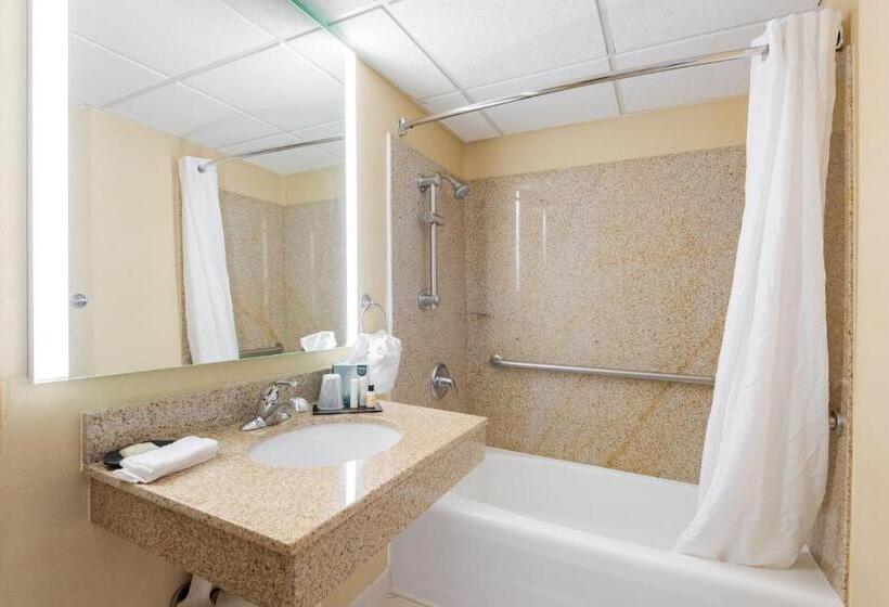 اتاق استاندارد با تخت بزرگ برای معلولان, Wyndham Omaha Hotel   West Dodge