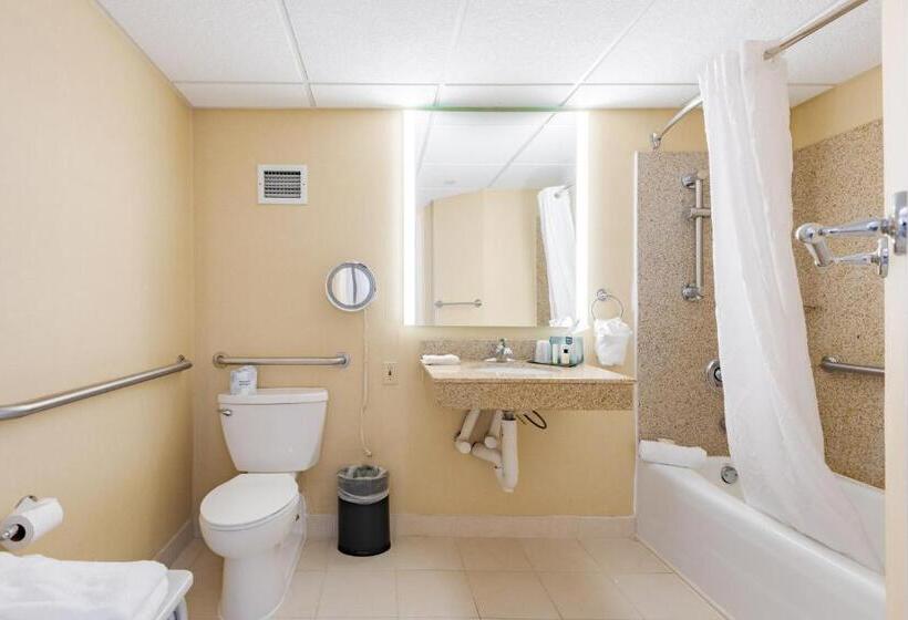 اتاق استاندارد با تخت بزرگ برای معلولان, Wyndham Omaha Hotel   West Dodge
