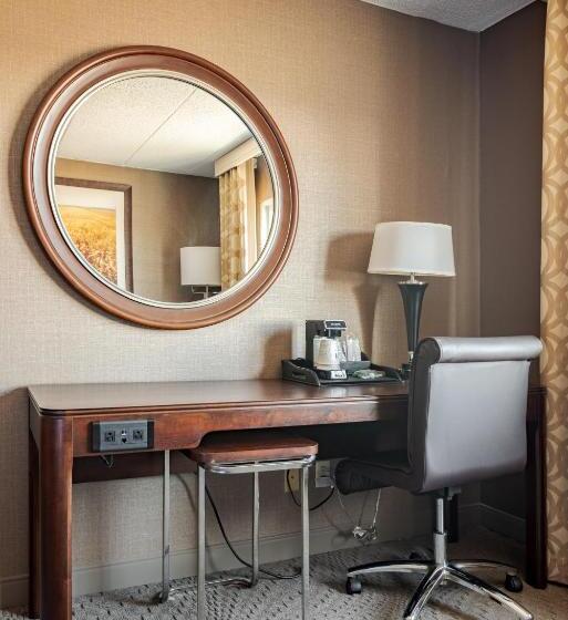 اتاق استاندارد با تخت بزرگ برای معلولان, Wyndham Omaha Hotel   West Dodge