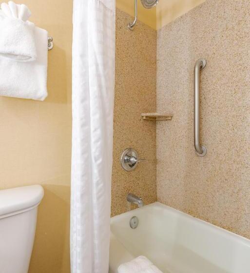 اتاق لوکس با تخت بزرگ, Wyndham Omaha Hotel   West Dodge