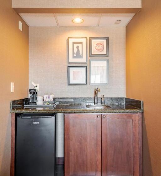اتاق لوکس با تخت بزرگ, Wyndham Omaha Hotel   West Dodge