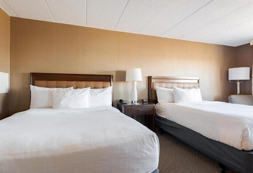 اتاق استاندارد, Wyndham Omaha Hotel   West Dodge