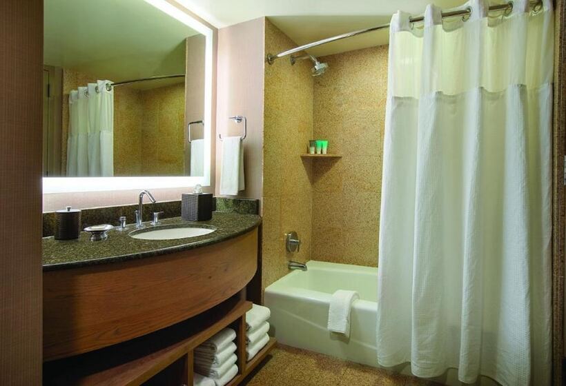 سوییت, Hyatt Regency Lake Tahoe Resort, Spa & Casino