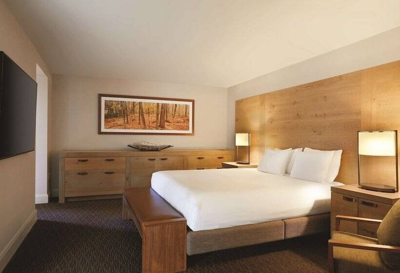 سوییت, Hyatt Regency Lake Tahoe Resort, Spa & Casino