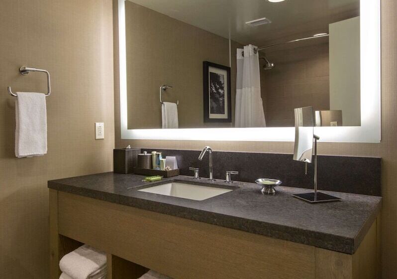 سوییت, Hyatt Regency Lake Tahoe Resort, Spa & Casino
