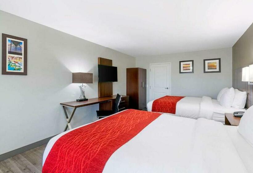 Chambre Standard, Comfort Inn