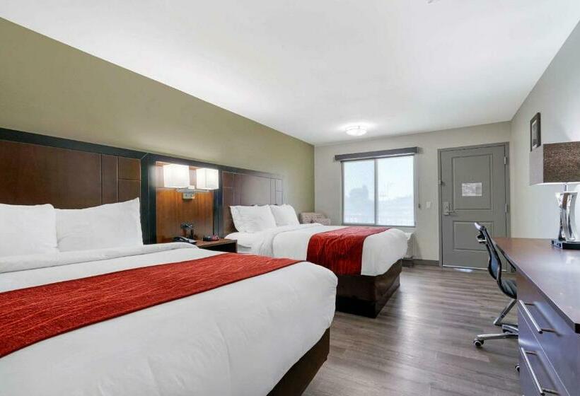 Chambre Standard, Comfort Inn