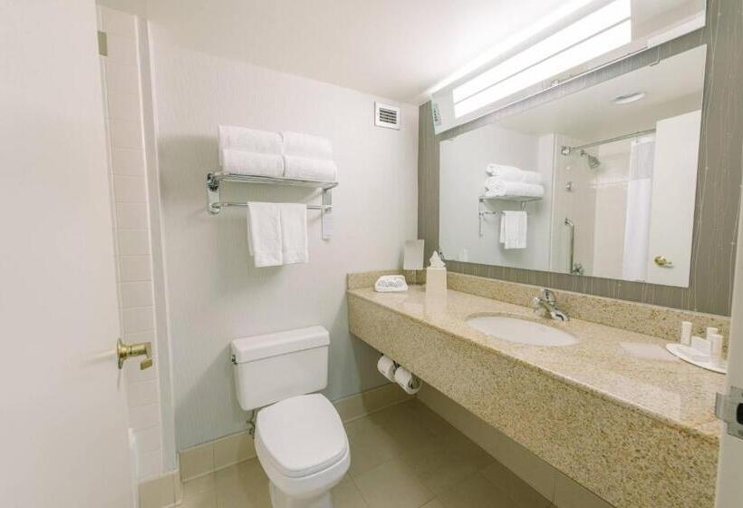 اتاق استاندارد با 2 تخت دوبل, Courtyard By Marriott Nashua
