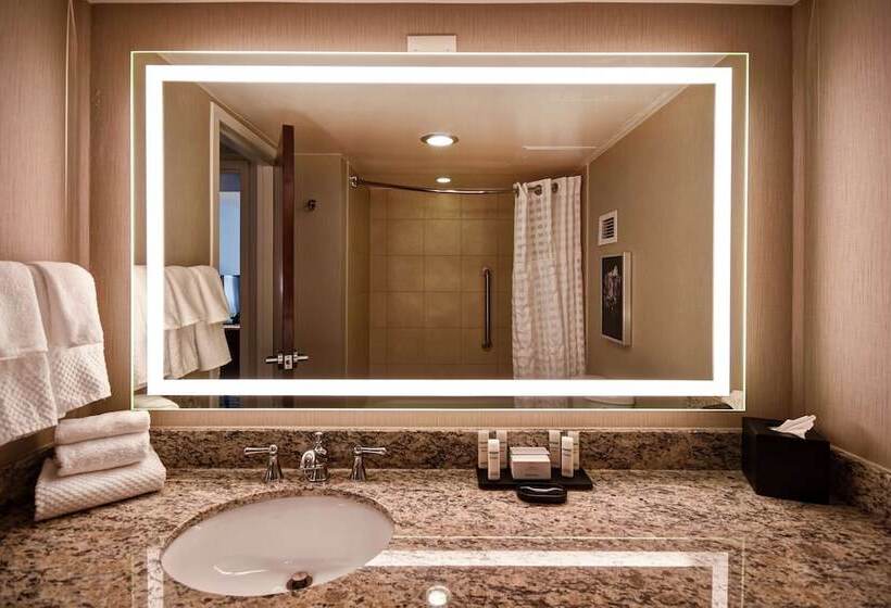 سوئیت برای معلولان, Embassy Suites By Hilton Montgomery Hotel & Conference Ctr